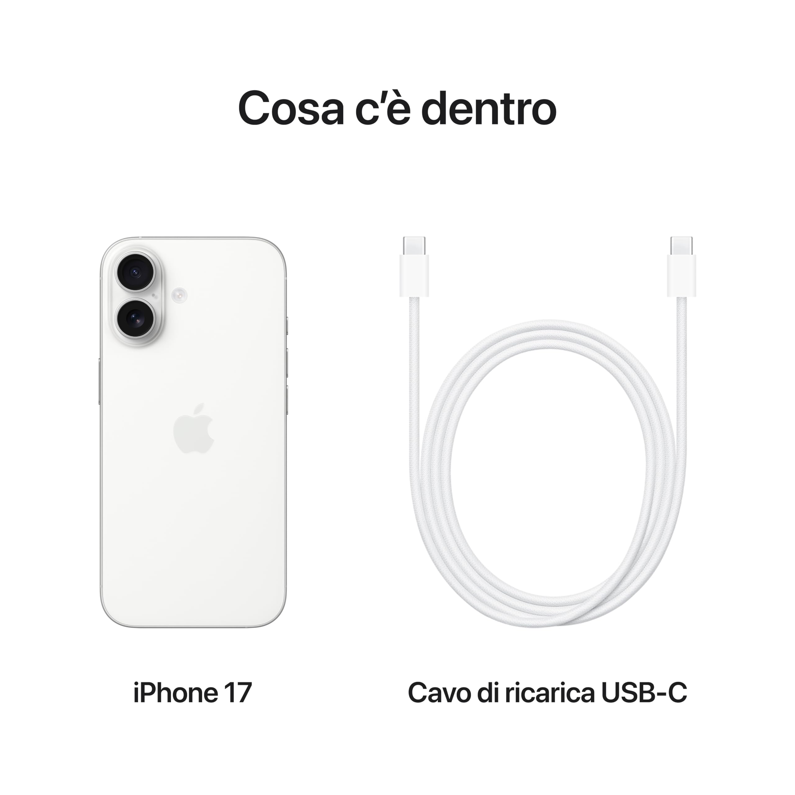 Apple iPhone 17 256 GB: display 6,3" con ProMotion, chip A19, fotocamera frontale Center Stage per selfie di gruppo più facili, più resistenza ai graffi, un giorno intero di batteria; Salvia