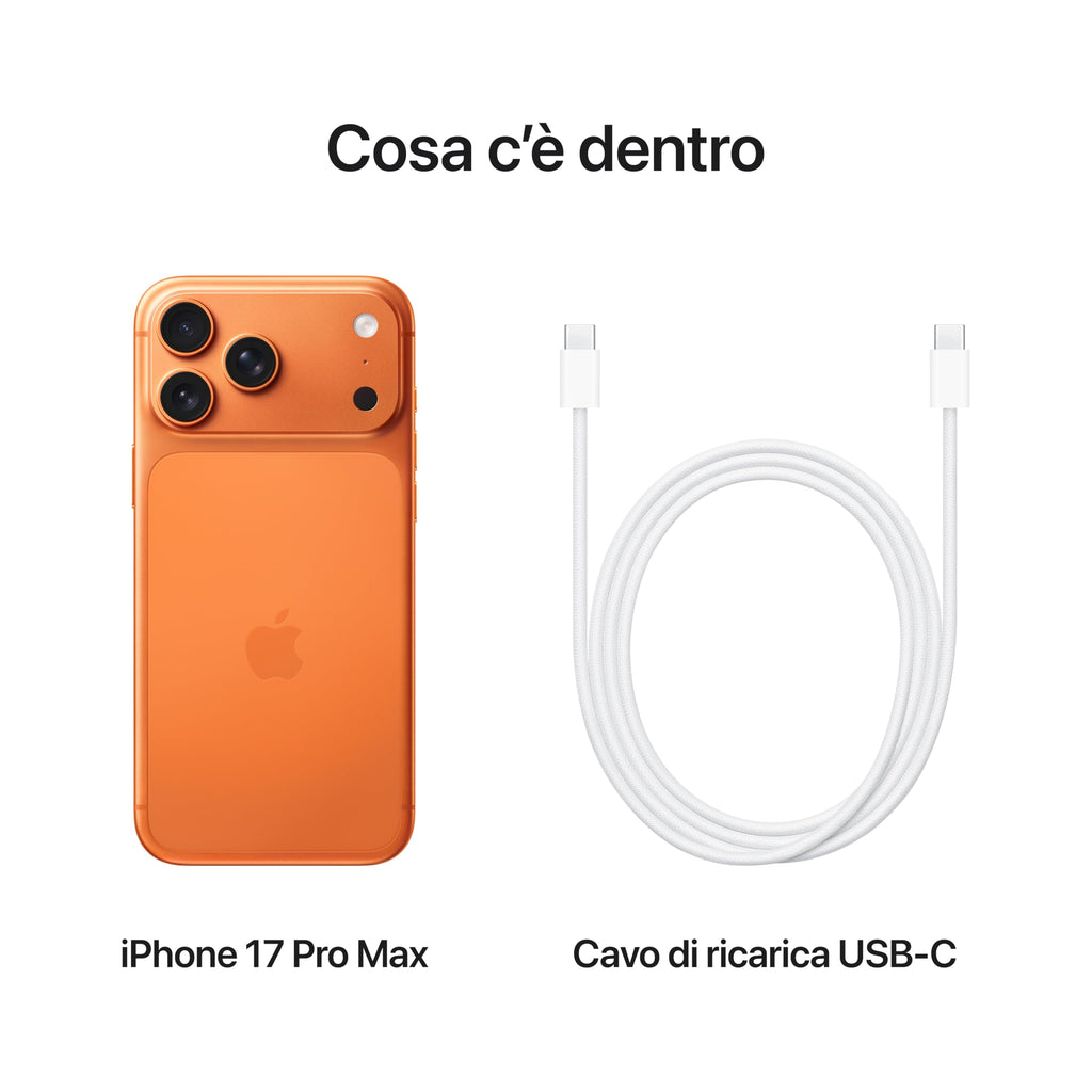 Apple iPhone 17 Pro Max 256 GB: display 6,9", ProMotion fino a 120Hz, chip A19 Pro, autonomia mai vista su iPhone, sistema di fotocamere Pro Fusion, fotocamera frontale Center Stage; Argento