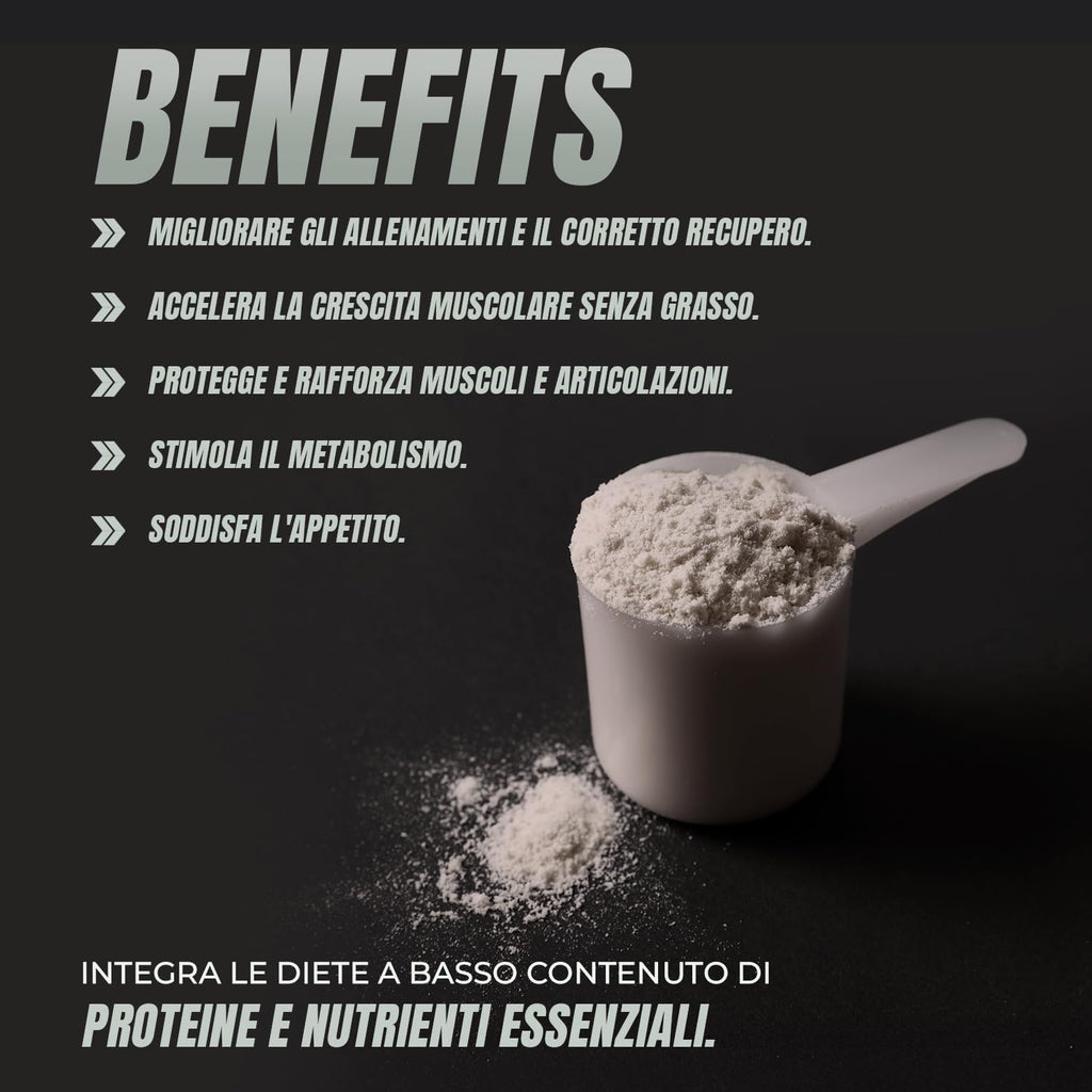Whey Protein | Proteina Whey pura con Collagene + Magnesio | Migliora i tuoi allenamenti | Protegge e aumenta la massa muscolare | 1000g di proteina (Cioccolato)