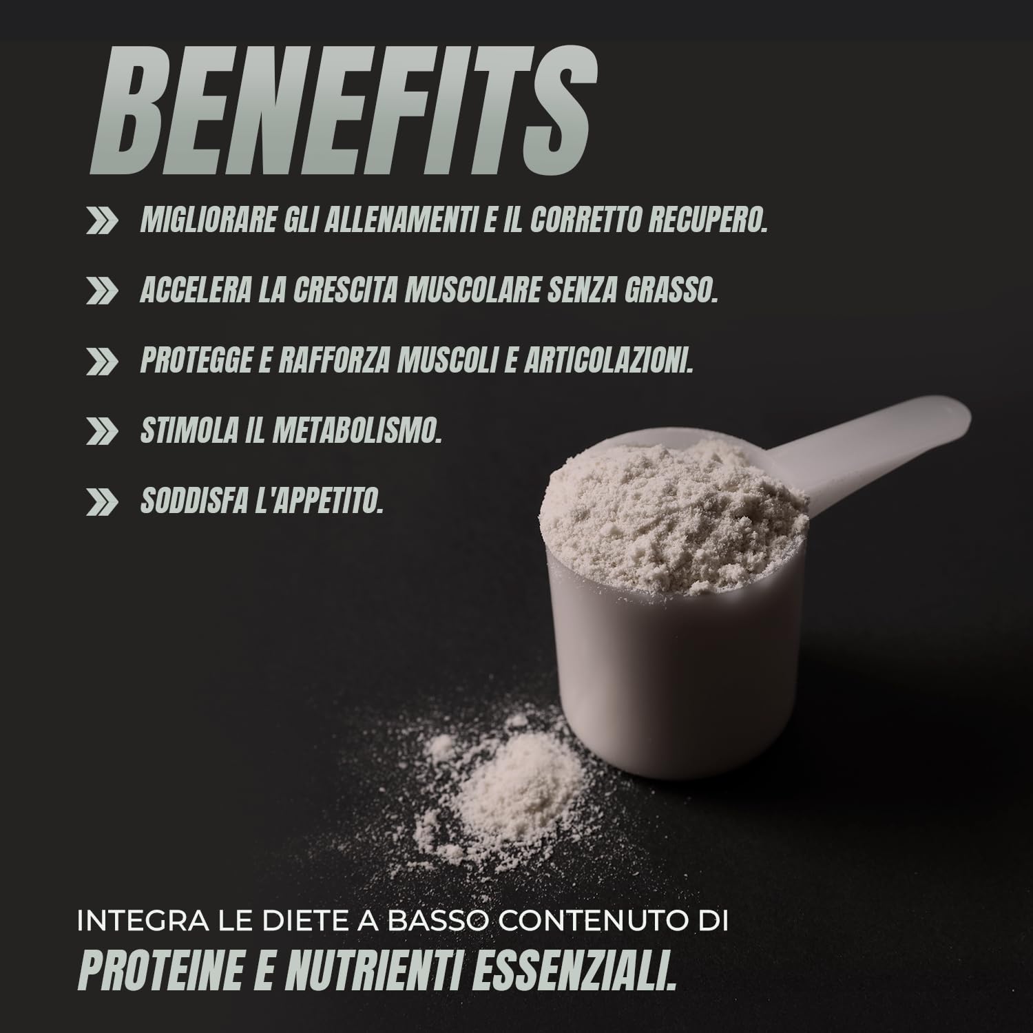 Whey Protein | Proteina Whey pura con Collagene + Magnesio | Migliora i tuoi allenamenti | Protegge e aumenta la massa muscolare | 1000g di proteina (Cioccolato)
