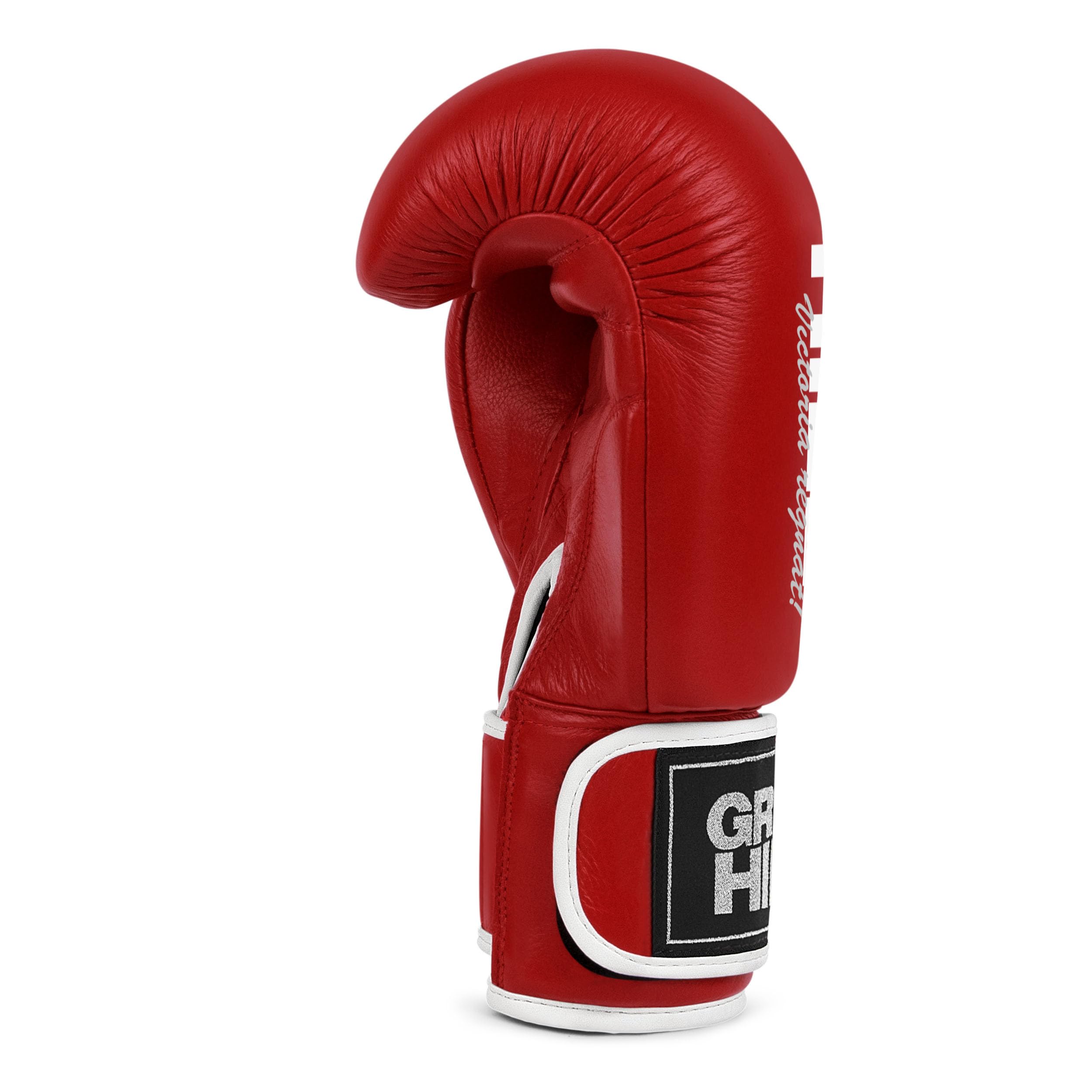 GREEN HILL Guanti Boxe Lion GUANTONI ANTISHOCK Pugilato Pelle