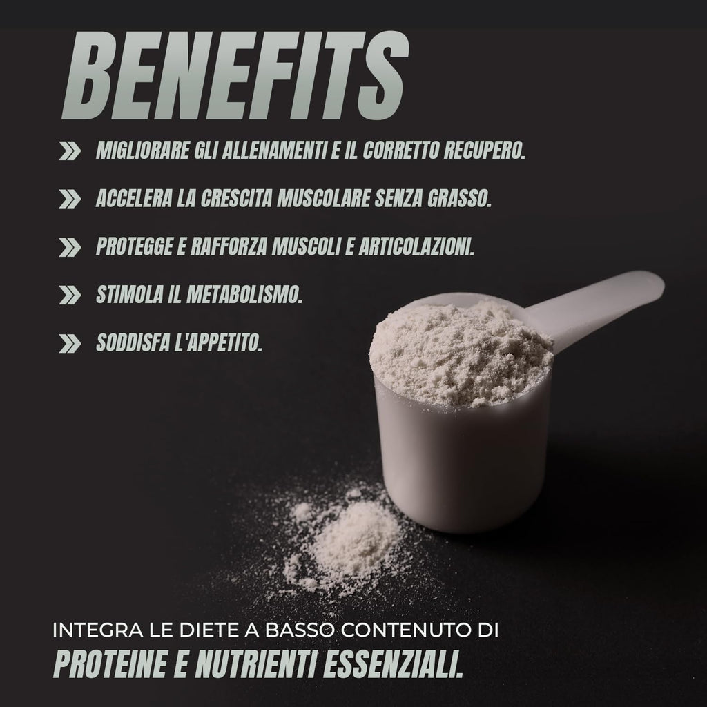 Whey Protein | Proteina Whey pura con Collagene + Magnesio | Migliora i tuoi allenamenti | Protegge e aumenta la massa muscolare | 1000g di proteina (Cioccolato)