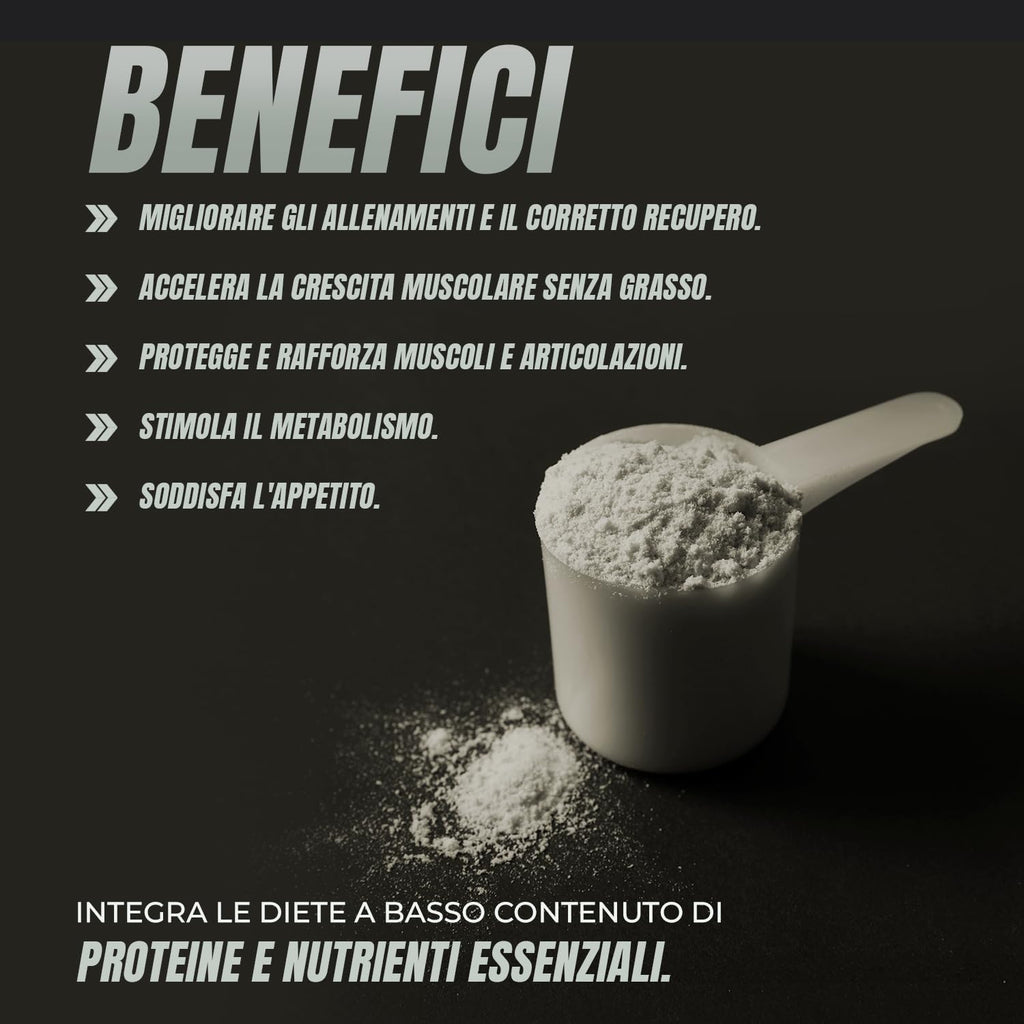 Whey Protein | Proteina Whey pura con Collagene + Magnesio | Migliora i tuoi allenamenti | Protegge e aumenta la massa muscolare | 1000g di proteina (Cioccolato)