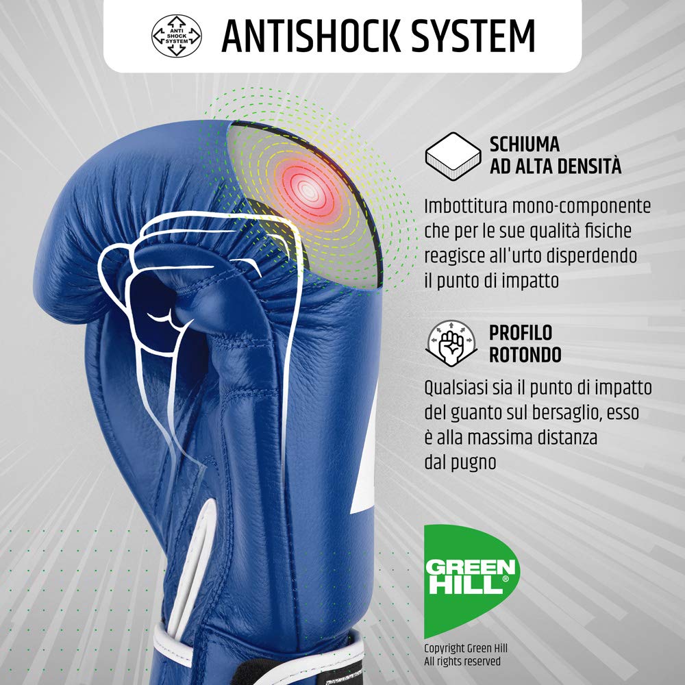 GREEN HILL Guanti Boxe Lion GUANTONI ANTISHOCK Pugilato Pelle