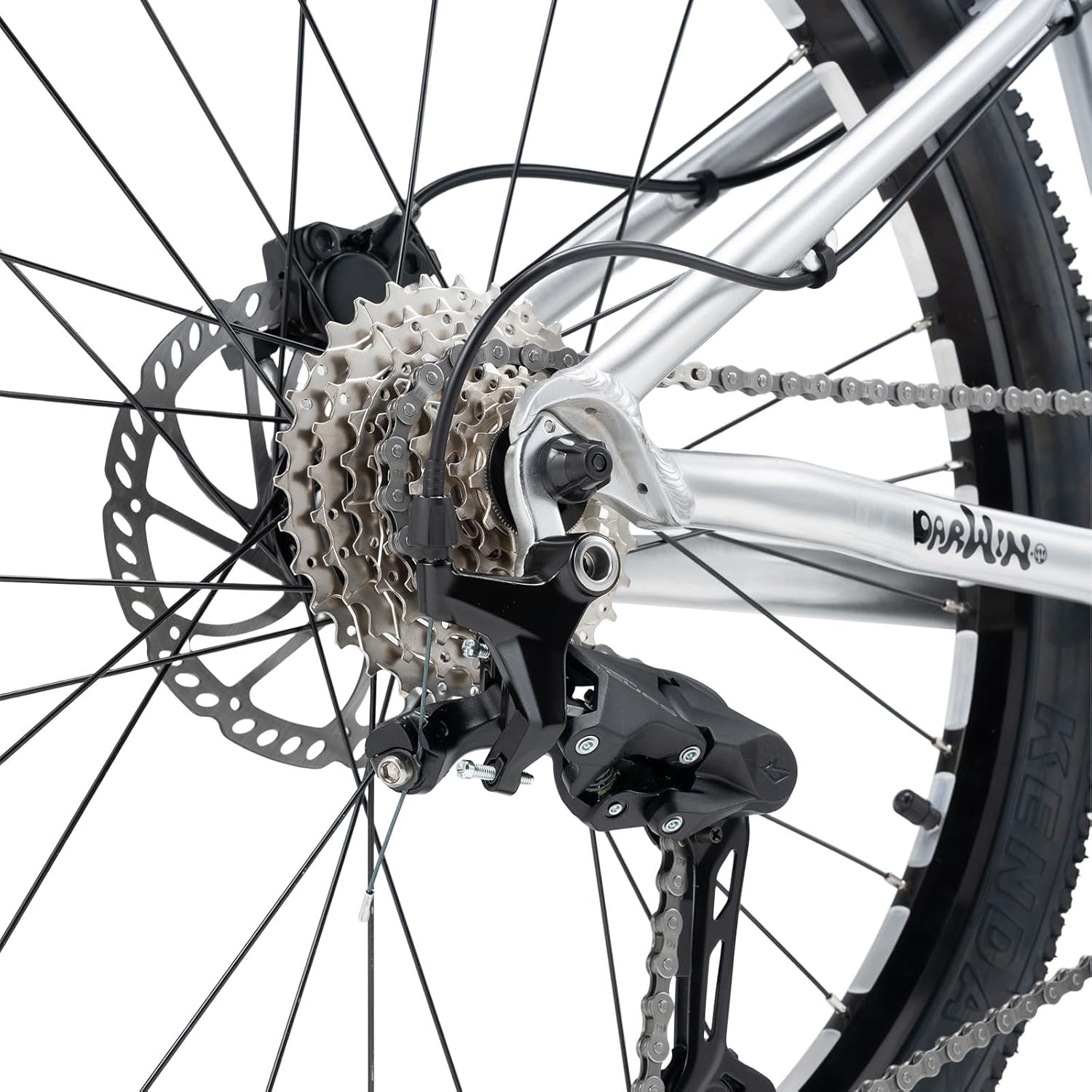 ROCKBROS Darwin Ⅳ Bicicletta Bambini 24 Pollici, MTB con Telaio in Alluminio, Cambio a 9 Velocità, Mountain bike per Ragazzi Ragazze 9-14 anni