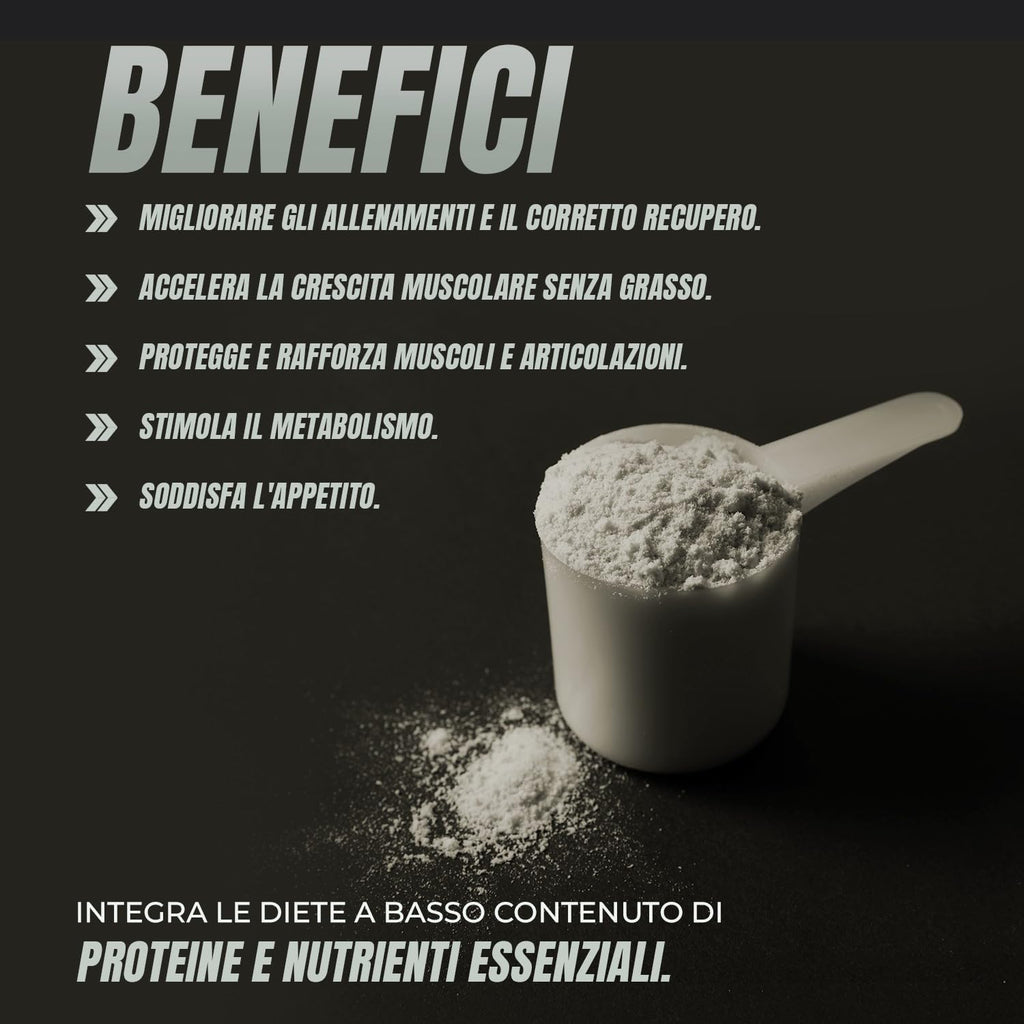 Whey Protein | Proteina Whey pura con Collagene + Magnesio | Migliora i tuoi allenamenti | Protegge e aumenta la massa muscolare | 1000g di proteina (Cioccolato)