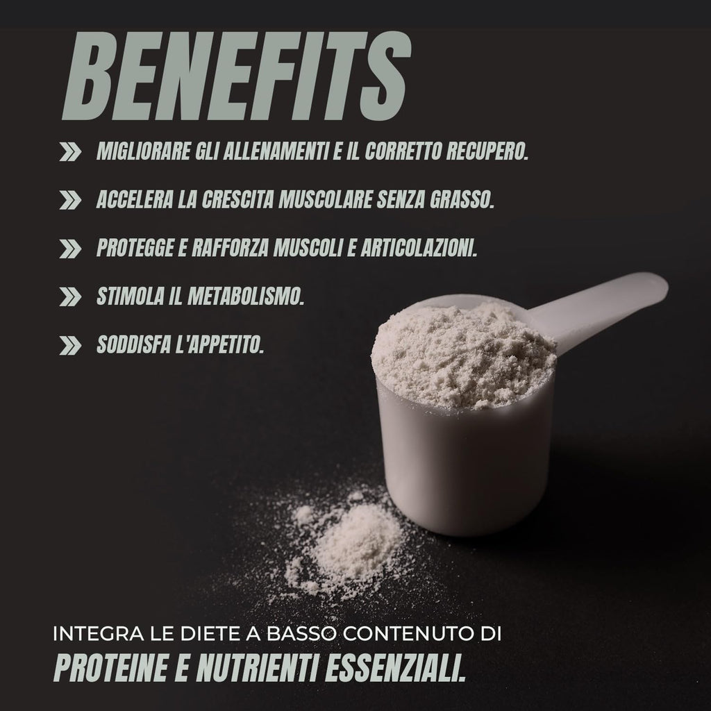 Whey Protein | Proteina Whey pura con Collagene + Magnesio | Migliora i tuoi allenamenti | Protegge e aumenta la massa muscolare | 1000g di proteina (Cioccolato)