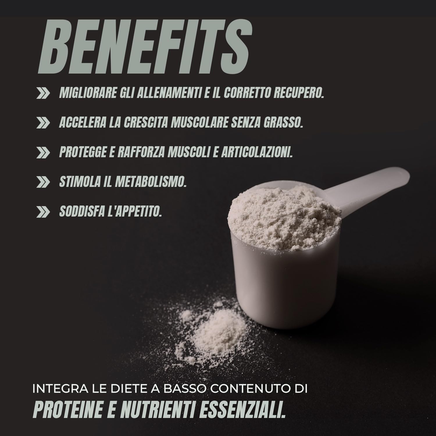 Whey Protein | Proteina Whey pura con Collagene + Magnesio | Migliora i tuoi allenamenti | Protegge e aumenta la massa muscolare | 1000g di proteina (Cioccolato)