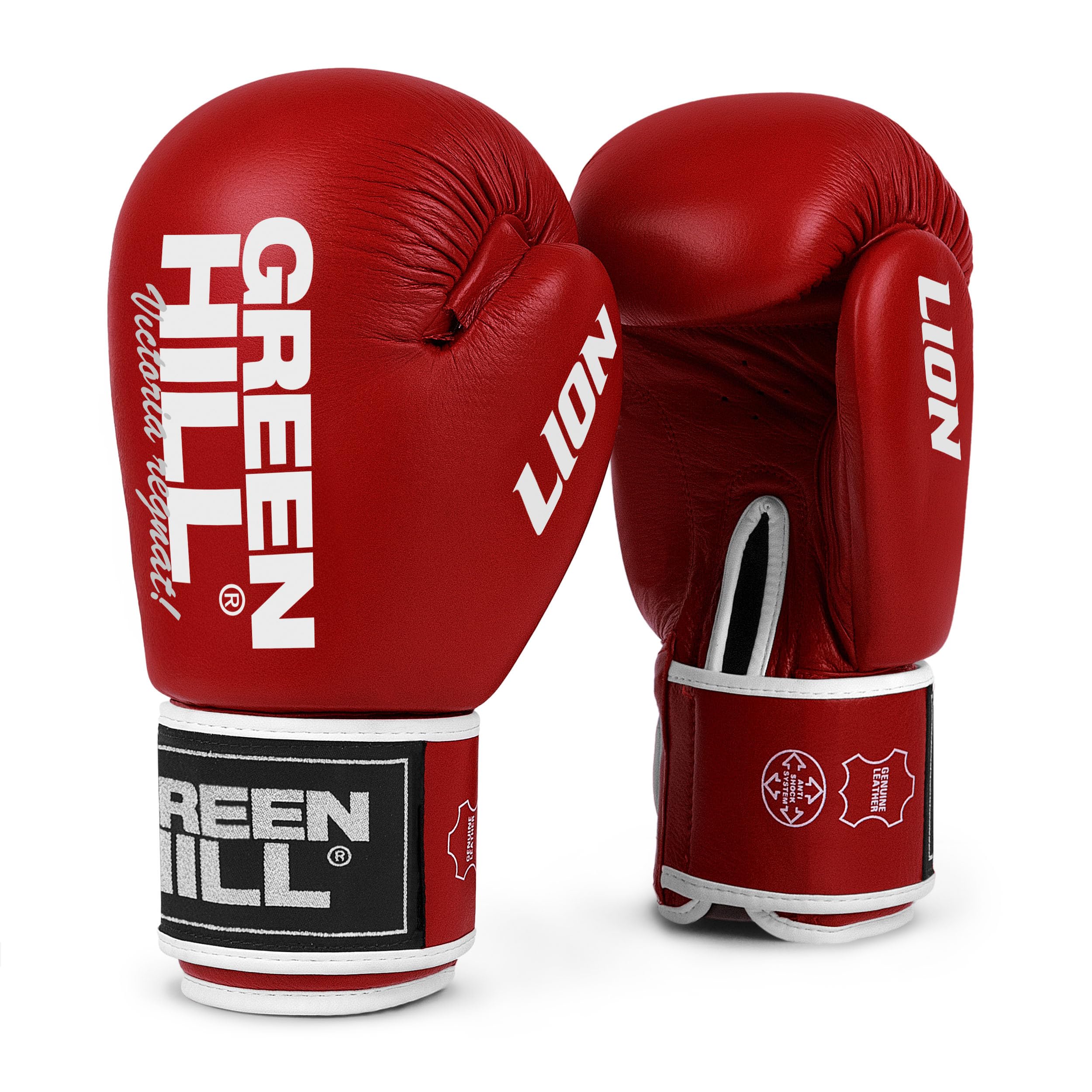 GREEN HILL Guanti Boxe Lion GUANTONI ANTISHOCK Pugilato Pelle