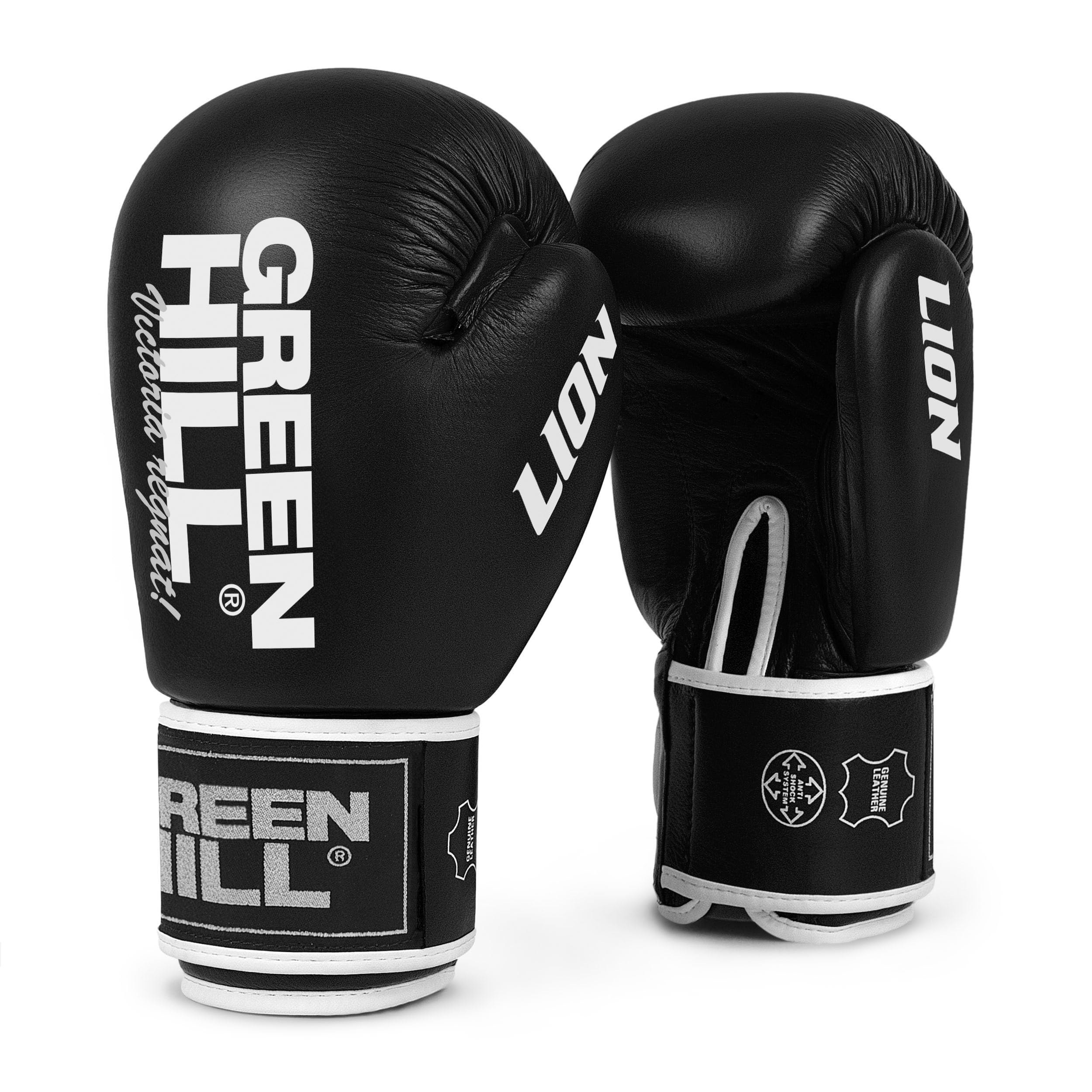 GREEN HILL Guanti Boxe Lion GUANTONI ANTISHOCK Pugilato Pelle