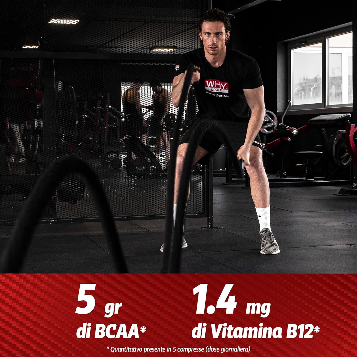 WHY SPORT ESSENZIALI 1300 - Acides Aminés Essentiels avec Vitamine B6 et Glutamine - 200 Comprimés