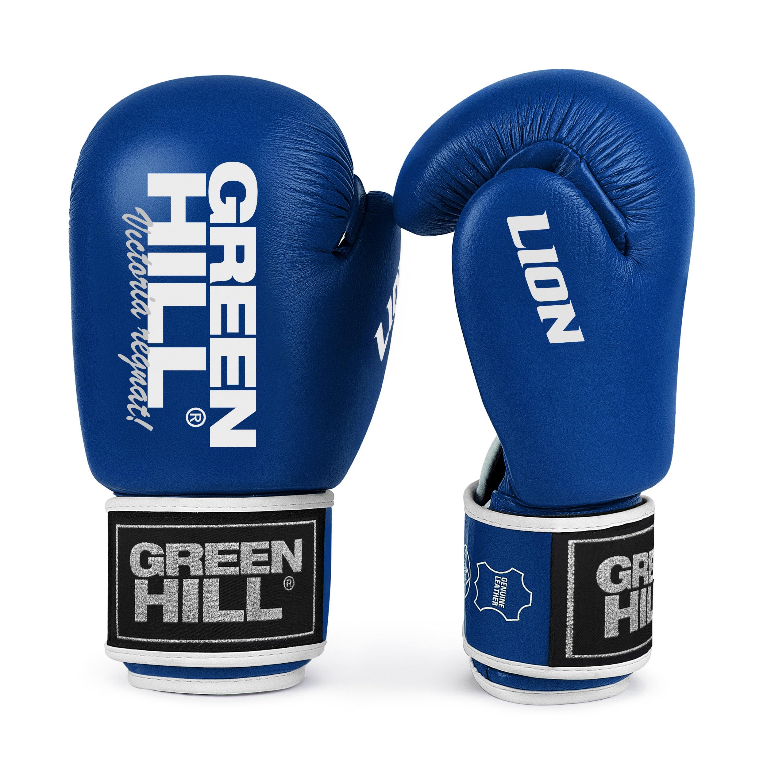 GREEN HILL Guanti Boxe Lion GUANTONI ANTISHOCK Pugilato Pelle